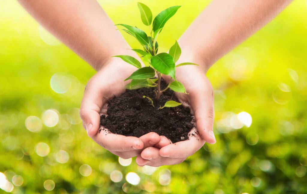 What is ISO 14001
