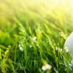 climate change update to iso management